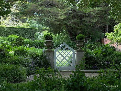 Garden Entrances, Outdoor Gates, Garden Gates And Fencing, Outdoor Sanctuary, Garden Entrance, Garden Shrubs, Modern Fence, Up House, Fence Ideas