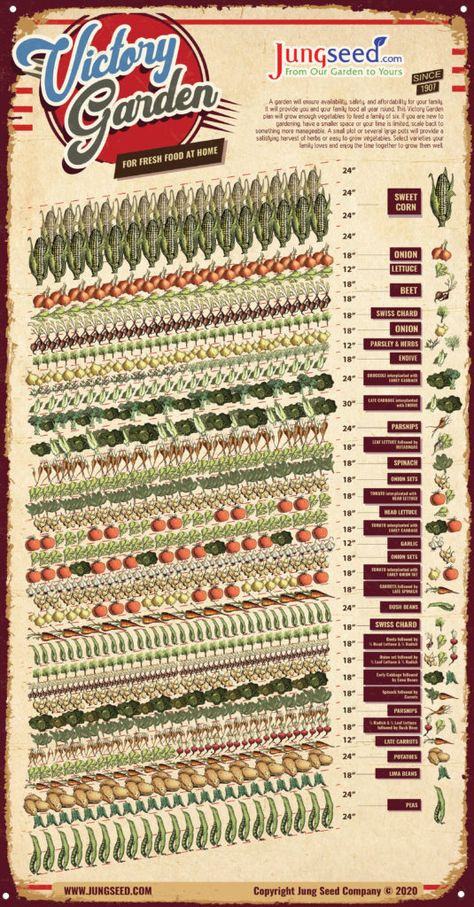 Victory Garden Plans, Vegetable Garden Layout Design, Garden Planning Layout, Urban Backyard, Tattoo Plant, Small Backyard Design Ideas, Garden Layout Vegetable, Vegetable Garden Planning, Backyard Design Ideas