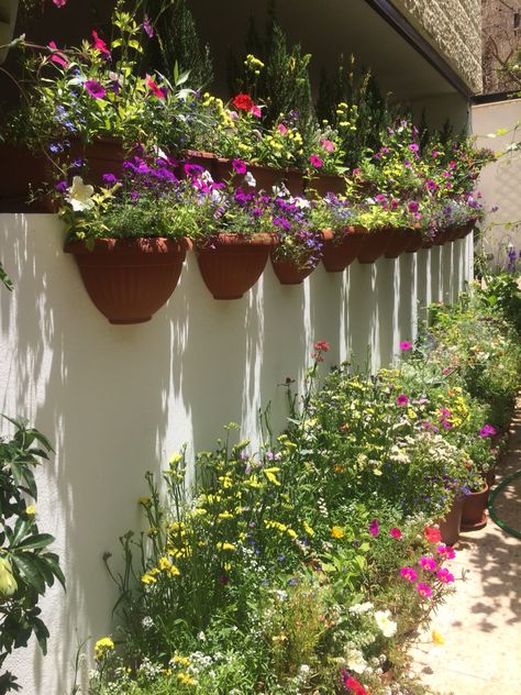 Container garden half wall pots Wall Pots, Pot Rack, Small Space Gardening, Container Garden, Wall Planter, All About Plants, Backyards, Plant Wall, Plant Decor