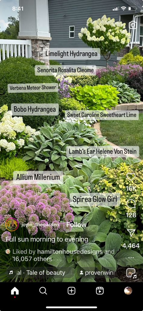 Illinois Landscaping Ideas, Plant By Numbers Gardens, Ranch House Landscaping, Bobo Hydrangea, Patio House, Yard Makeover, Limelight Hydrangea, Small Front Yard Landscaping, Small Front Yard