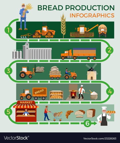 Food Infographic Design, Process Illustration, Process Infographic, Food Infographic, York Minster, Bread Making, Art Museums, Tv Music, How To Make Bread