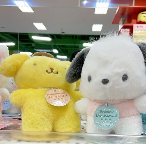 Pompompurin Pochacco, Pompom Purin, Sanrio Danshi, Pom Purin, Sanrio Pompompurin, Anime Love Story, Stuff Animals, Hello Kitty Themes, Hello Kitty Characters