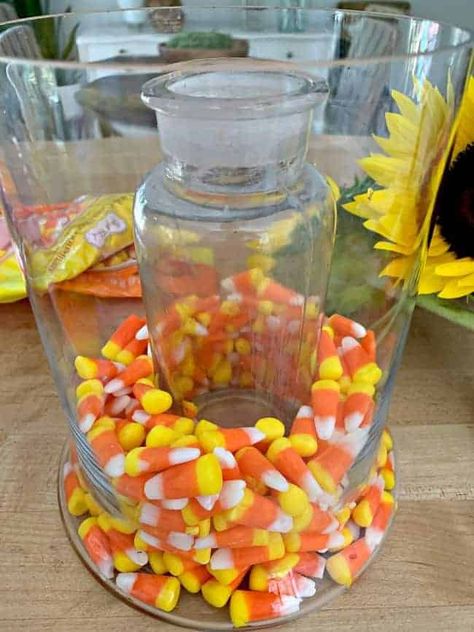 candy corn around narrow glass vase that is inside a wide glass vase Candy Corn Centerpieces, Candy Corn Vase Centerpieces, Candy Corn Vase Filler, Glass Pumpkin Decor Ideas, Fall Glass Vase Filler Ideas, Diy Halloween Candy Jar, Fall Vase Filler, Jar Decorating Ideas, Diy Thanksgiving Centerpieces