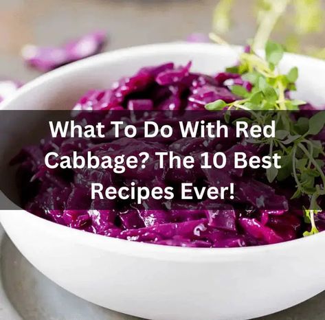 What to do with red cabbage? The 10 best recipes ever! Red cabbage always stands out in your garden with its wonderful purple-red color. But its benefits are better than what you see on the outside. It can be a great ingredient in countless recipes for any snack, lunch, or dinner. Can you name some familiar recipes with this type of cabbage? If you don't have any ideas, let us suggest to you “What to do with red cabbage?” with 10 recipes below. What to do with red cabbage? The 10 best recipes e Red Cabbage Recipes Asian, Red Cabbage Stew, Healthy Red Cabbage Recipes, Recipes Using Red Cabbage, Red Cabbage Benefits, Fried Red Cabbage, Red Cabbage With Bacon, Purple Cabbage Recipe, German Red Cabbage Recipe