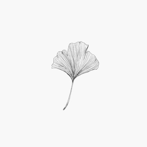 Illustrations Ginko Leaf Tattoo Minimalist, Ginko Biloba Tattoo, Henna Pen, Art Deco Logo, Watercolor Tattoo Flower, Flower Logo Design, Doodle Tattoo, Flower Outline, Modern Tattoos