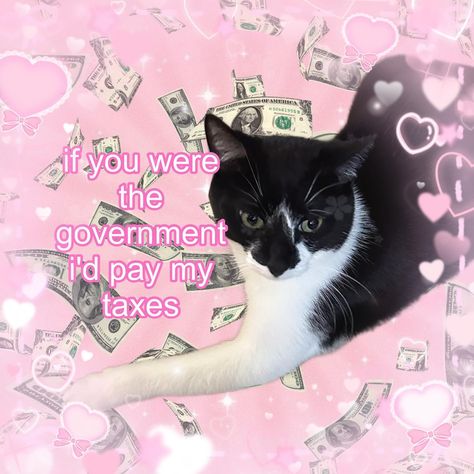 rizz !!! 💵🩷🫶 #cat #cats #catmeme #catmemes #funnycat #funnycats #catto Tax Memes, Funny Aesthetic, Silly Images, Funny Reaction Pictures, Cute Memes, Love Memes, Pick Up Lines, Silly Cats, Spotify Playlist