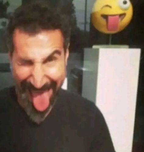 Serj Tankian, Funny