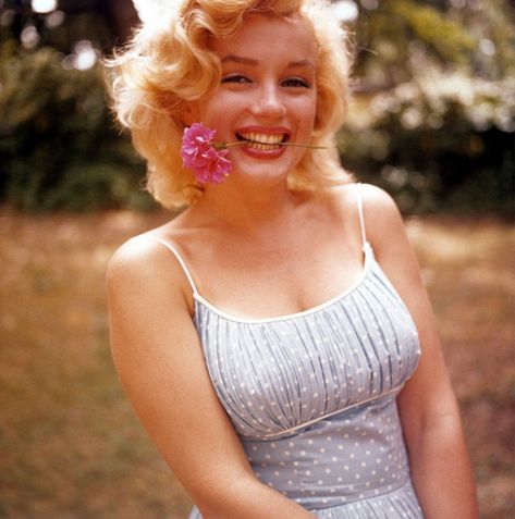 Marilyn Monroe Photography, Marilyn Monroe Portrait, Marilyn Monroe Fashion, Marilyn Monroe Art, Joe Dimaggio, Marilyn Monroe Photos, Actrices Hollywood, Norma Jean, Norma Jeane