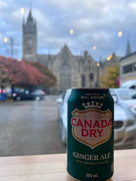 #canadadry #canada #cocacola #drink #ginger #gingerale #realginger #real #explore #fyp #boisson Ginger Ale Aesthetic, Dry Ginger, Ginger Ale, Natural Flavors, Dream Life, Coca Cola, Ginger, Log In, Log