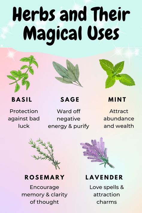 Herbs have been used for centuries by many cultures around the world in spiritual rituals and healing practices. With their pleasant smells and healing properties, herbs can bring balance, harmony and luck into our lives when we need it most! If you’re looking for a spiritual boost in your life, take a look at this guide to herbs and their magical uses.  #herbsandtheirmagicaluses #magicalherbs #magicalusesforherbs #magicalpropertiesoflavender #spiritualusesforherbs #herbsforspirituality Magical Herbs Witchcraft, Spiritual Rituals, Magickal Herbs, Witch Herbs, Cultures Around The World, Lucky Plant, Healing Practices, Green Witchcraft, Witch Spirituality