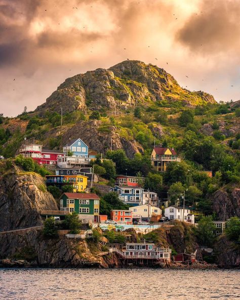 Summer Sunrise overlooking the Battery St.John's Newfoundland. This place is beautiful in any season! . . . . #stjohnsnl #newfoundland #newfoundlandandlabrador #newfoundlandphotos #newfoundlandphotagrapher #newfoundlandphotography #explorecanada #explorenewfoundland #explorenl #canada #landscapephotos #landscape #landscapephotography Gros Morne National Park, Staring Contest, Summer Sunrise, Western Region, Explore Canada, Newfoundland And Labrador, St Johns, Boat Tours, Newfoundland