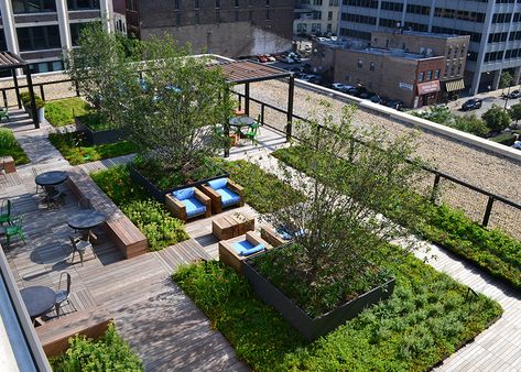 Green Roof Design, Roof Landscape, Green Roof Garden, Roof Decks, Roof Garden Design, Green Terrace, Rooftop Terrace Design, Rooftop Design, Urban Landscape Design