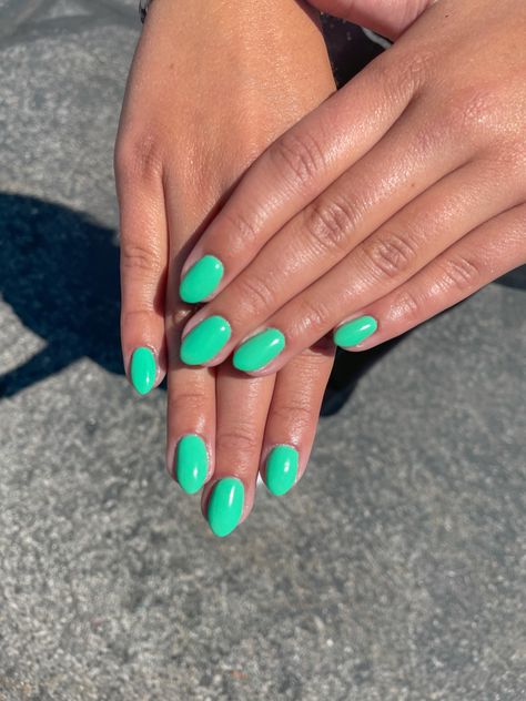 @anna.naildit Green Teal Nails, Velvet Nails, Teal Nails, Hello Nails, Basic Nails, Simple Gel Nails, Summery Nails, Cute Gel Nails, Short Acrylic Nails Designs