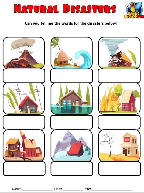 This helps students differentiate between different types of natural disasters. LTP Natural Disasters For Kids, 1st Grade Crafts, Toddler Math, Body Preschool, Worksheets For Grade 3, Abc Flashcards, Worksheets For Kindergarten, Natural Disaster, English Fun