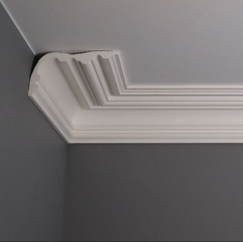 Covingshop.com - The Coving Shop London UK Low Ceiling Coving, Victorian Cornice Ceiling, Art Deco Coving, Ornate Coving, Ceiling Molding Ideas, Coving Ideas, Cornices Ceiling, Victorian Details, Plaster Coving