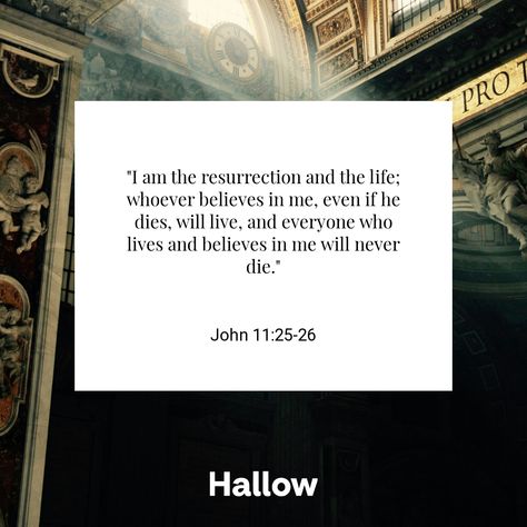 John 11:25-26 John 11:25-26, Divine Mercy Novena, Rosary Prayer, The Resurrection, Divine Mercy, Storing Cookies, Holy Week, Right To Privacy, Good Friday