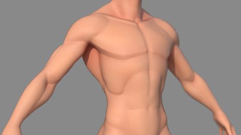 ArtStation - Male Stylized Body Base, Mike Lieu Male Body Turnaround, Stylized Top Surgery, Stylized Male Anatomy, Stylized Male Character, Female Body Base, Stylized Body, Blender Sculpting, Stylized Anatomy, Zbrush Anatomy