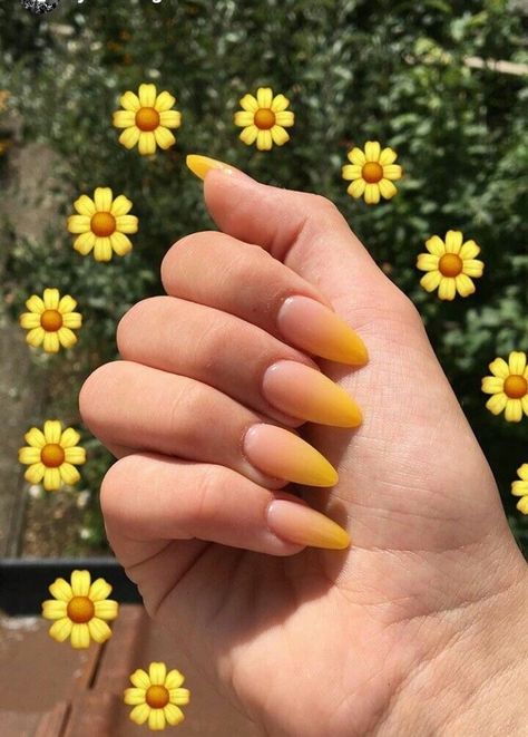 Yellow Nail Art, Yellow Nails Design, Yellow Nail, Thanksgiving Nails, Yellow Nails, Dream Nails, Nail Designs Spring, Beautiful Nail Art, Pretty Acrylic Nails