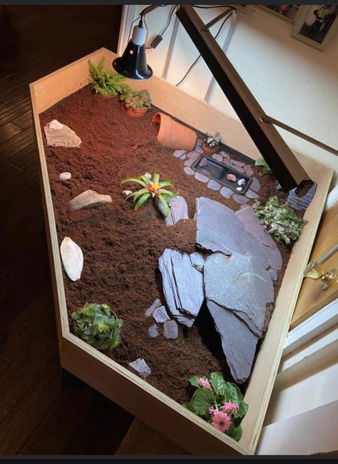 Red Foot Tortoise Enclosure, Tortoise Enclosure Ideas, Tortoise Terrarium Indoor, Red Footed Tortoise Habitat Indoor, Tortoise Indoor Enclosure, Tortoise Table Ideas, Turtle Enclosure Indoor, Indoor Tortoise Enclosure, Box Turtle Habitat Indoor