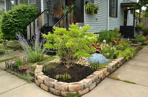 Corner lot? Small space? Shade? Get ideas from this Ken-Ton gardener - Buffalo-NiagaraGardening.com Corner Lot Landscaping Ideas, Corner Lot Landscaping, Corner Landscaping Ideas, Thorny Bushes, Corner Landscaping, Sidewalk Landscaping, Short Fence, Side Yards, Street Trees