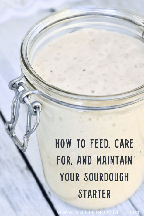 Sourdough Starter Care Instructions, How To Start Making Sourdough, How To Share Your Sourdough Starter, Proofing Sourdough In Instant Pot, How To Take Care Of Sourdough Starter, Sourdough Feeding Chart, Sourdough Bread Baking Timeline, How To Keep Sourdough Starter Alive, Sourdough Starter Day By Day