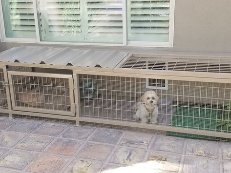 Puppy is safe thanks to Pet Safe Kennels Coyote Running, Dog Yards, Dog Kennel Flooring, Diy Dog Run, Outdoor Dog Runs, Backyard Dog Area, Dog Enclosures, Dog Enclosure, Dog Station