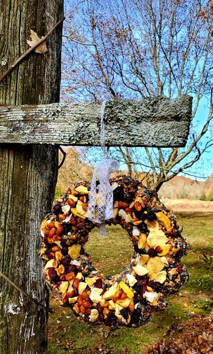 Easy DIY Bird Seed Wreath – Aunt Bee's Recipes Bird Seed Wreaths, Bird Seed Wreath, Diy Birdseed Wreath, Diy Bird Seed Wreath, Pinecone Bird Feeder No Peanut Butter, Homemade Bird Seed Ornaments, Bird Seed Wreath Recipe, Pine Cone Bird Feeder, Handmade Bird Feeders Seed And Fat