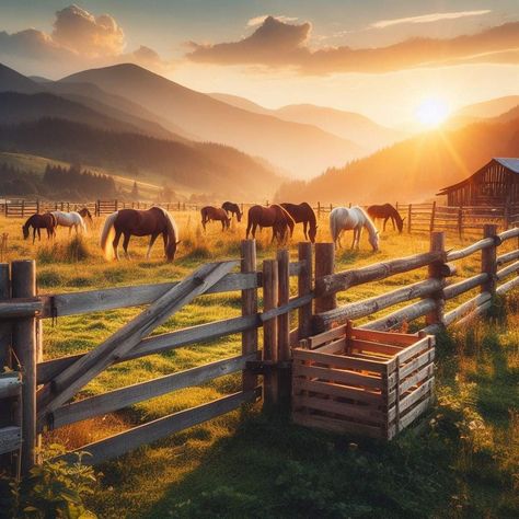 Scene Wallpaper, Country Scenes, Cute Horses, American Country, Horses