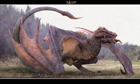 Fantasy Reptile Creature, Dragon Reference, Animal Concept, Design Dragon, Heroic Fantasy, Legends And Myths, Cool Dragons, Fantasy Beasts, Dragon Artwork