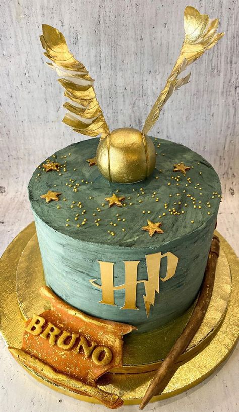 harry potter cake, harry potter cake designs, harry potter birthday cake, harry potter themed cake, birthday cake ideas Harry Potter Cake Ideas Birthdays, Slytherin Cake Ideas, Simple Harry Potter Cake Ideas, Harry Potter Cakes Birthday Girl, Harry Potter Cake Designs, Birthday Cake Harry Potter, Mini Cake Ideas, Hogwarts Cake, Harry Potter Cake Ideas