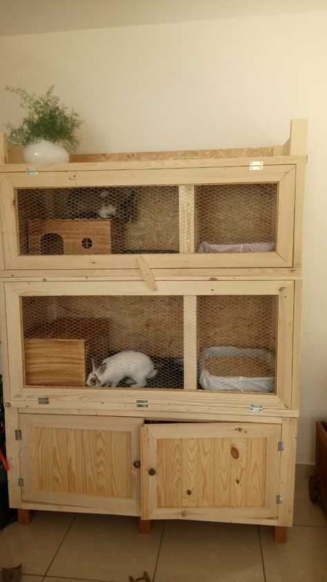 Rabbit House Ideas, Diy Kast, Rabbit Enclosure, Guinea Pig Hutch, Bunny Hutch, Pet Bunny Rabbits, Rabbit Cages, Bunny Cages, Baby Boy Pictures