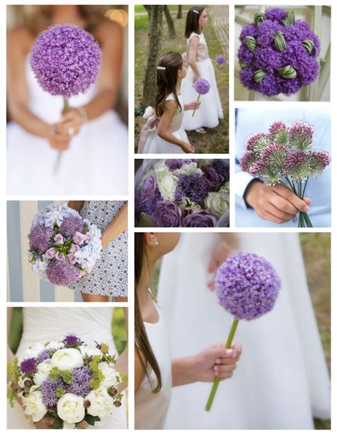 Wedding Delights Paired With Impact Of The Allium Allium Wedding Flowers, Allium Bouquet, Allium Wedding, Hand Bouquet, A Beautiful Life, Beautiful Life, Home Wedding, Wedding Centerpieces, Future Wedding