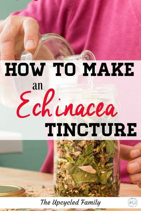 Echinacea tinctures are such an easy tincture to benefit from. How to make echinacea tincture right in your kitchen from those garden fresh flowers (or even dried herbs). An easy DIY Echinacea tincture recipe to boost your immune system. #echinaceatincture #recipe #howtomake #uses #benefits #DIY #immunesystem #naturalremedies #simple Echinacea Tincture, Tinctures Recipes, Echinacea Benefits, Herbal Tinctures, Natural Health Care, Herbal Healing, Boost Your Immune System, Dried Herbs, Herbs For Health