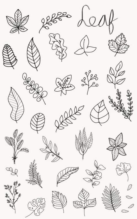 Doodle Leaves Leaf Design, Small Leaves Drawing, Leaves Doodle Art, Tattoo Leaf Designs, Nature Doodles Simple, Flower Cluster Drawing, Simple Botanical Drawings, Leaf Doodle Art, Simple Leaf Drawing