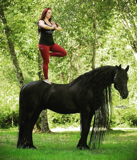 Horse Yoga, Love Horses, Riding Tights, On Horseback, Horse Owner, Black Horse, Horse Lover, If You Love, Good Mood