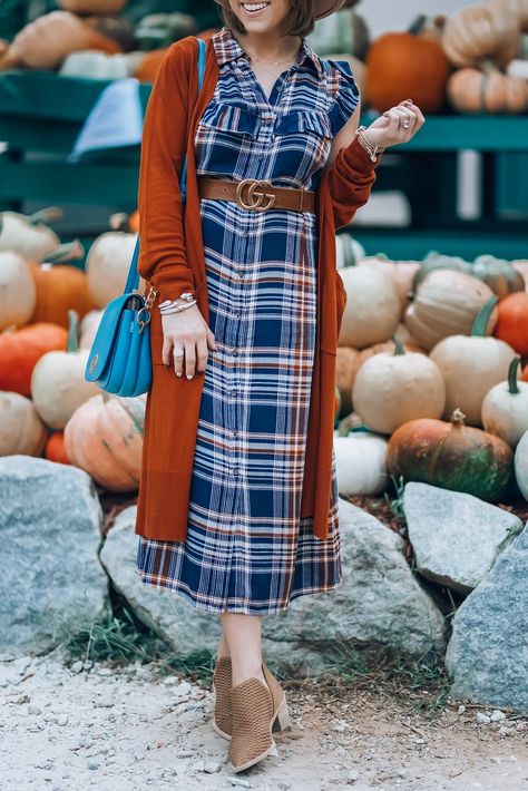 Dress Modest Outfits, Rust Cardigan, Shirt And Dress, Pumpkin Stand, Pumpkin Stands, Outfit Cardigan, What To Wear Fall, Early Fall Outfits, Fashion Feminine