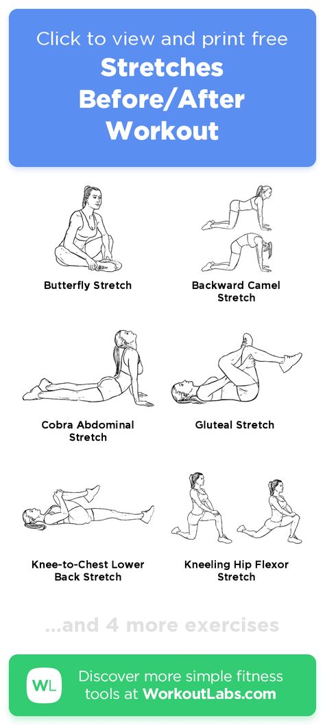 Best Stretches After Workout, Easy Full Body Stretching Routine, Stretches After Ab Workout, Stretches To Make You Feel Good, Pre Ab Workout Stretches, Basic Strech Excercise, Stretching Exercises Before Workout Gym, Workout Stretches Cool Down, Stretches For After Leg Workout