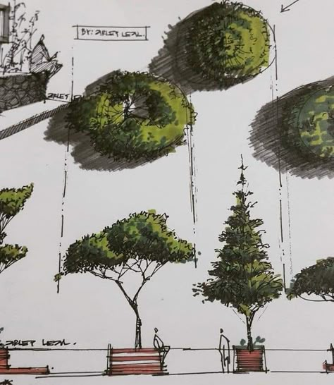 Architectural Trees, Landscape Design Drawings, Landscape Architecture Drawing, Architecture Sketchbook, Tree Sketches, Landscape Sketch, Architecture Design Sketch, Architecture Concept Drawings, Architecture Drawing Art