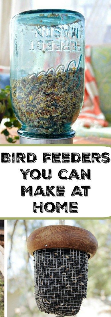 16 Bird Feeders You Can Make At Home – Home and Garden Diy Birdfeeders, Sea Cocktail, Pancakes Art, Bird Feeder Station, Finch Feeders, Green Pancakes, Best Bird Feeders, Bird Feeder Plans, Bird Feeding Station