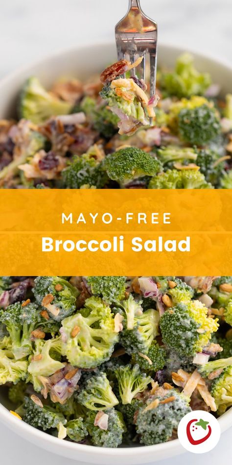 My fresh broccoli salad recipe makeover leaves out the traditional mayonnaise used in the dressing and replaces it with Greek yogurt instead, giving all the creaminess but also a yummy tangy flavor. #mayofreebroccolisalad #healthierbroccolisalad #thebestbroccolisaladrecipe #broccolisaladrecipes Healthy Broccoli Salad No Mayo, Tangy Broccoli Salad, Broccoli Salad With Yogurt Dressing, Brocolli Salad Without Mayo, No Mayo Broccoli Salad Recipe, Greek Yogurt Broccoli Salad, Broccoli Salad Dressing No Mayo, Healthy Broccoli Salad Greek Yogurt, Broccoli Salad No Mayo Dressing