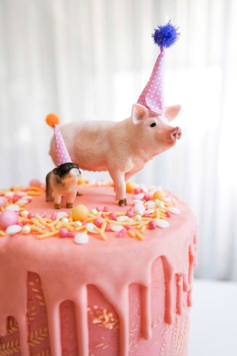 Party pig cake Piggy Cake Ideas, Pigs Birthday Cake, Pig Cake Design, Pig Cake Ideas, Pig Themed Birthday Party, Papas Birthday, Piggy Birthday, Piggy Party, Pig Birthday Party Ideas