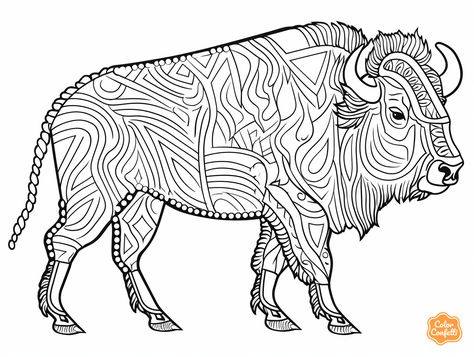 illustration of Buffalo artistry coloring sheet Animals With Horns, Coloring Page For Adults, Safari Adventure, Color Images, Wild Animals, Colour Images, Coloring Sheets, Adult Coloring Pages, Coloring Page