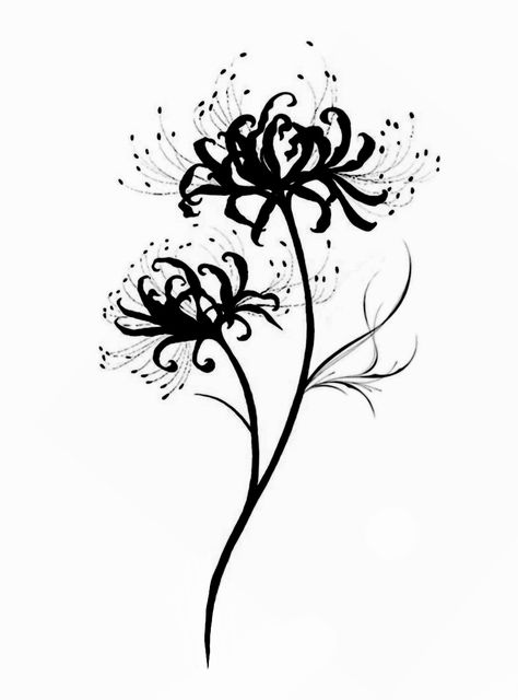 Illumi Tattoo Ideas, Black And White Spider Lily Tattoo, Spider Lily Drawing Easy, Spider Lily Tattoo Black And White, Alternative Flower Tattoo, Spider Lily Illustration, Spider Lily Flower Drawing, Tokyo Ghoul Spider Lily Tattoo, Black Spider Lily Tattoo