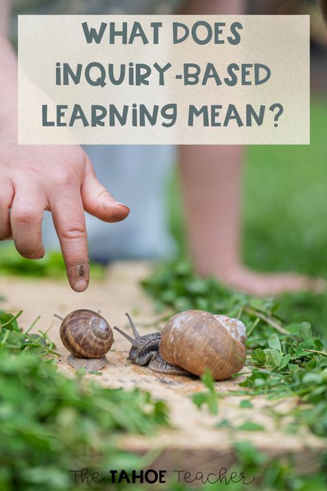 Have you been wondering what inquiry-based learning means exactly? Inquiry-based learning is explained right here, including examples to get you started. Find out about different inquiry structures and how you can incorporate inquiry-based learning in your classroom today. Inquiry Based Learning Kindergarten, Ib Pyp Classroom, Kindergarten Inquiry, Learning Kindergarten, Science Stations, Playbased Learning, Inquiry Based Learning, Forest School, Science Resources