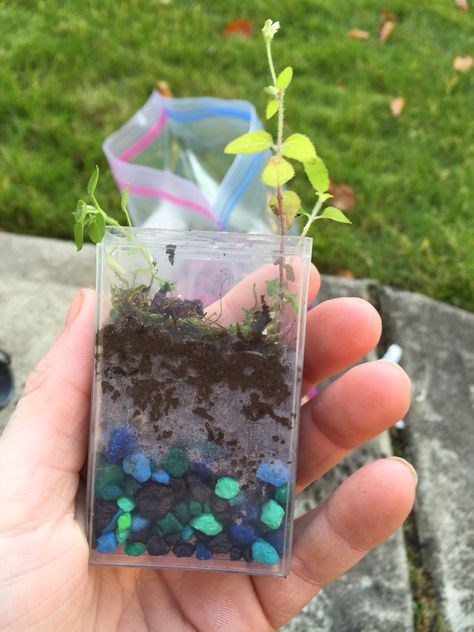 Tictac Box Diy, Tictac Box Ideas, Tic Tac Boxes Diy, Tic Tac Terrarium, Tic Tac Box Crafts, Aesthetic Diys, Paper Duck, Terrarium Ideas, Fun Crafts To Do