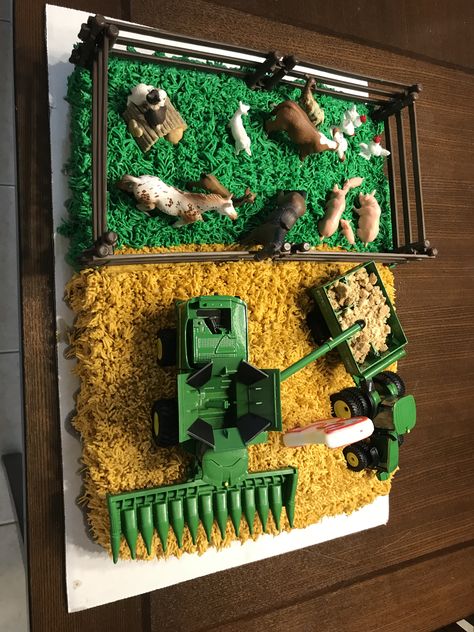 Tractor Birthday Sheet Cake, Kubota Tractor Cake, Chicken Cake Ideas, Easy Tractor Cake, Grandpa Birthday Cake, Boys Bday Cakes, Farm Cakes, Tractor Birthday Cakes, John Deere Cake