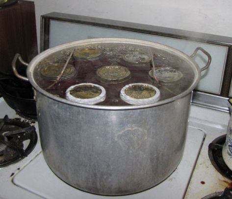 Hot Water Canning Bath, Ball Electric Water Bath Canner Recipes, How To Do A Water Bath For Canning, Canning Peas, Pressure Canning Vs Water Bath, Water Bath Canning Process Times, Dry Canning, Hot Water Bath Canning, Canning Potatoes