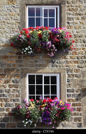 Colourful window boxes outside a stone built house in Masham, Yorkshire, England, UK Stock Photo Window Boxes Flowers, Stone Front House, Window Baskets, England House, House With Balcony, Window Box Flowers, Old Stone Houses, Plants For Hanging Baskets, Red Geraniums