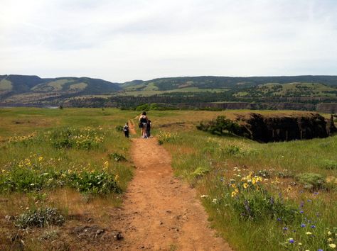 The Dalles Oregon, Columbia River Gorge Oregon, Columbia Country, Gorge Oregon, Visit Oregon, Painted Hills, Multnomah Falls, Columbia River Gorge, Columbia River