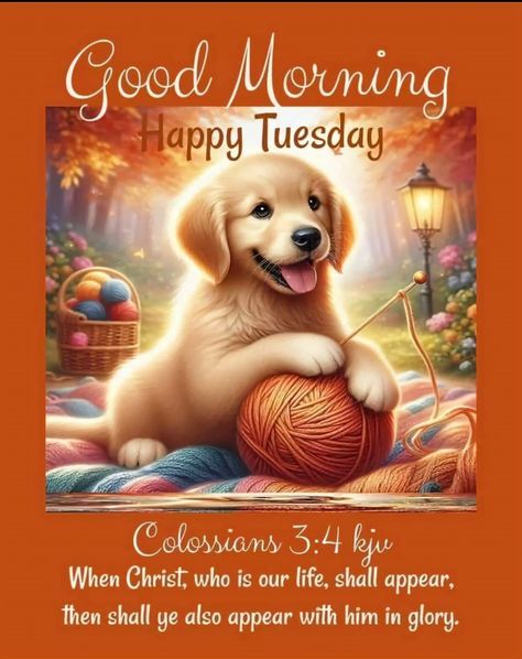 Tuesday Bible Verse, Joy Cometh In The Morning, Bible Blessings, Tuesday Greetings, Tuesday Blessings, Christian Poems, Encourage Others, Good Morning Tuesday, Colossians 3